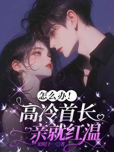 怎么办!高冷首长一亲就红温 昭昭十一 著